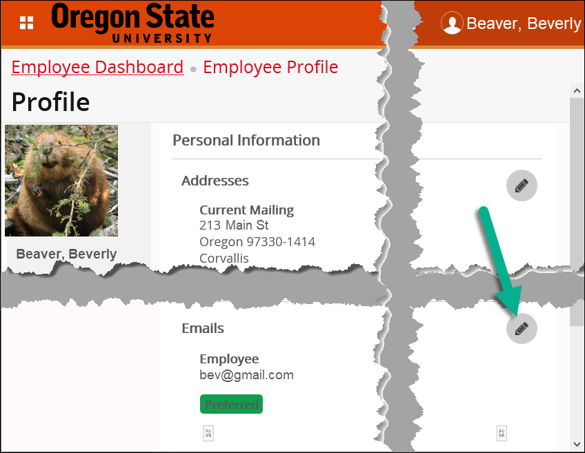 my profile page with edit link in email section highlighted