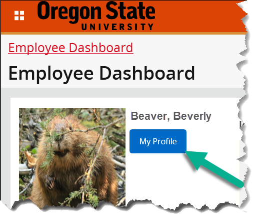 employee dashboard with my profile button highlighted